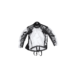 X55-M-X55-026_image_3